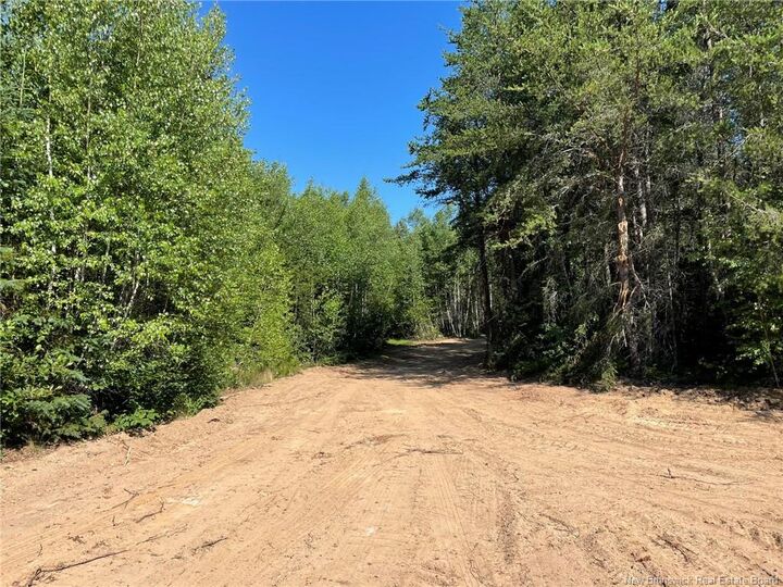 Property Photo:  Lot Richard Hill Road  NB E4R 3M5 