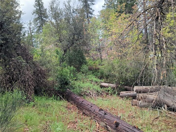Property Photo:  53309 Road 432  CA 93604 