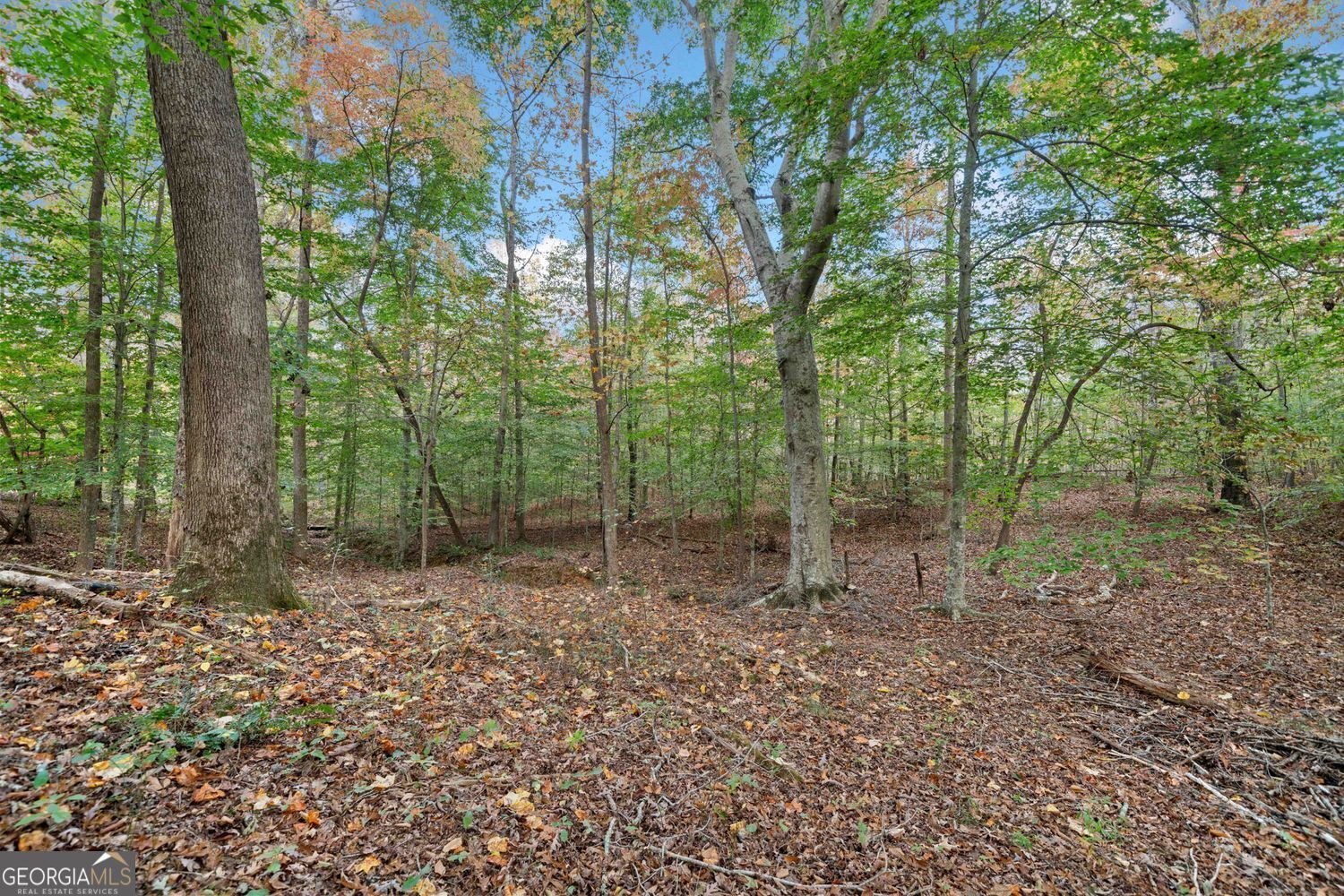 Property Photo: 0 Ammons Drive GA 30183