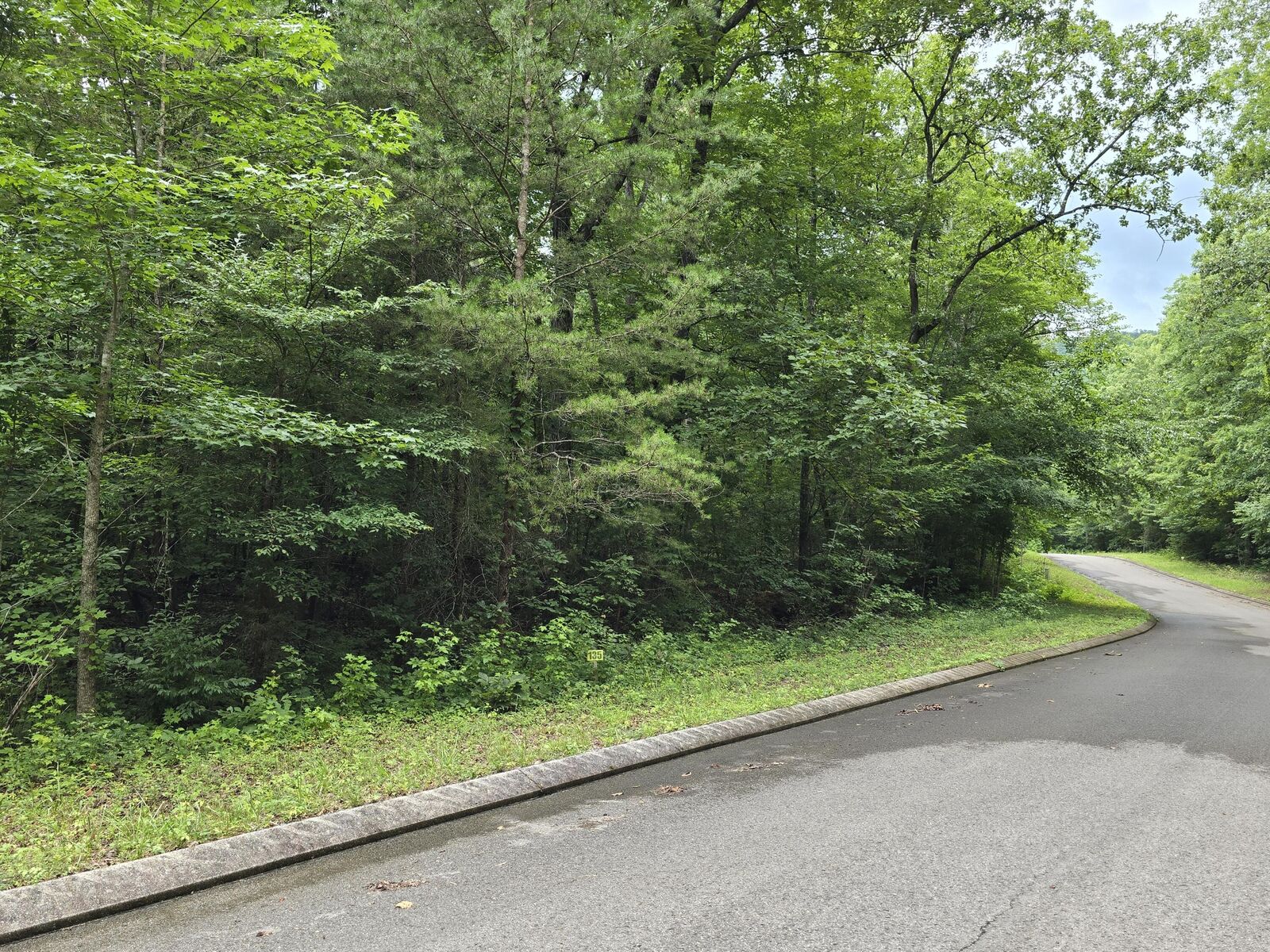 Property Photo:  Lot 135 Lower Brow Road  TN 37327 