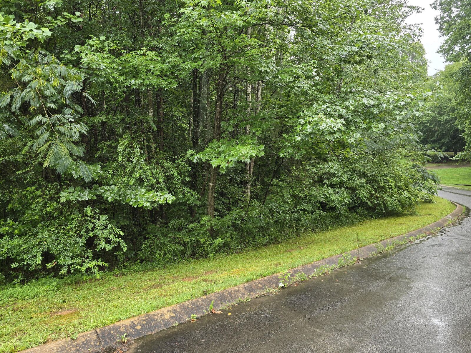 Property Photo: 0 Big Cedar Drive TN 37327