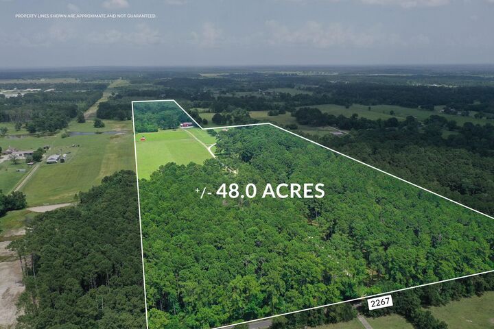 Property Photo: 550 County Road 2267 TX 77327