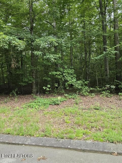 Property Photo:  Lot 140 Lower Brow Rd  TN 37327 