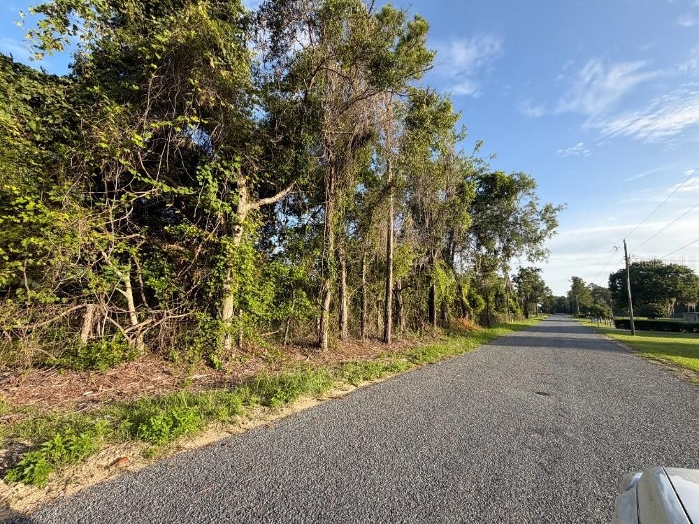 Property Photo: NE 160th Ave FL 32696