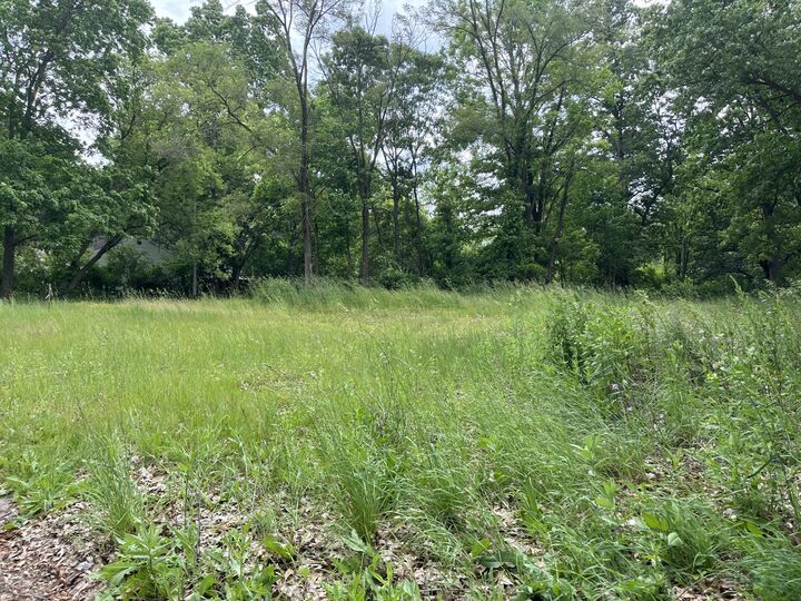 Property Photo:  129 Fox Avenue  MI 49037 