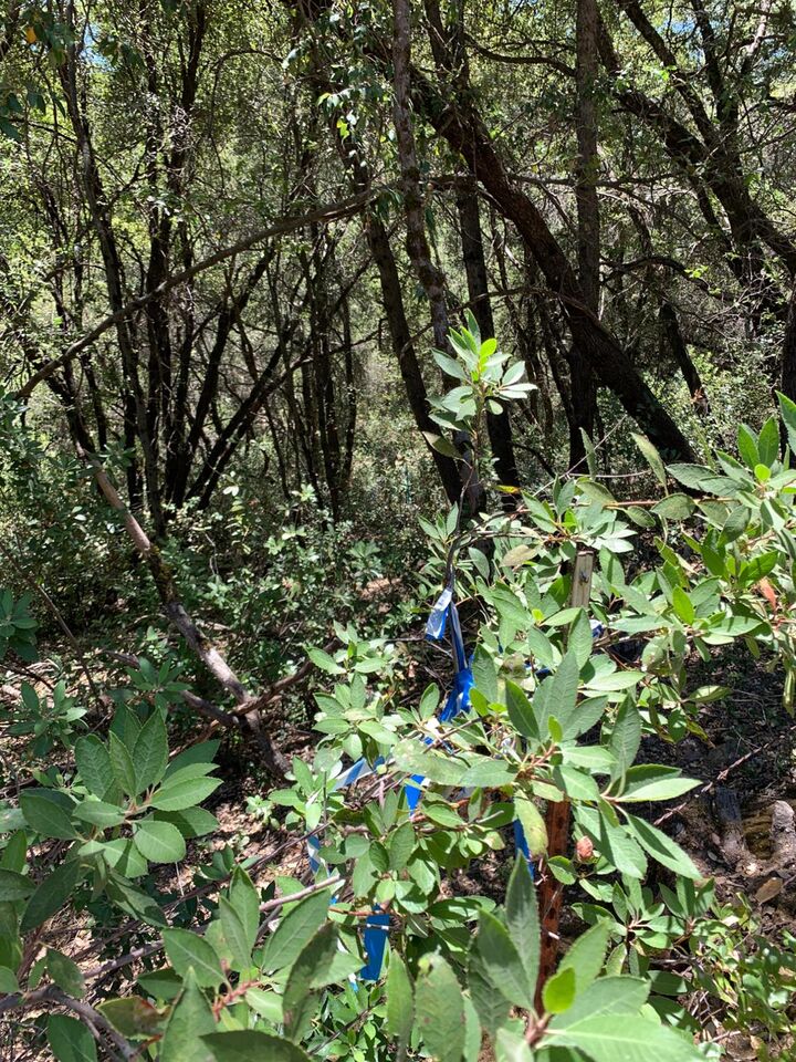 Property Photo: 685 Grant Lane CA 95247