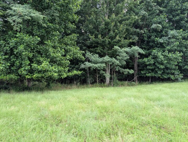 Property Photo: 580 Preservation Dr TN 37380