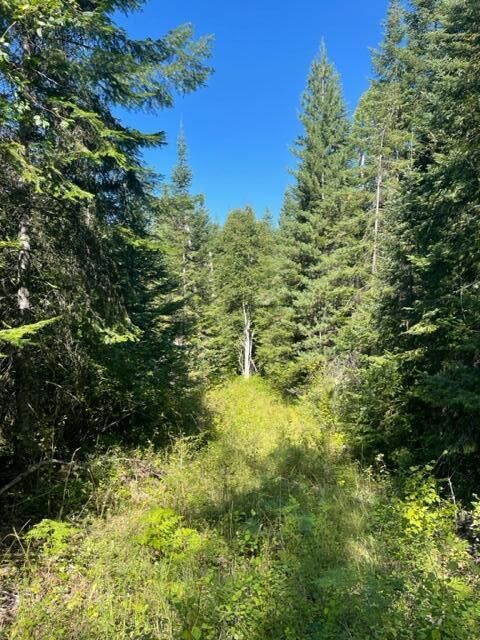 Property Photo: 3xx Lot 14 N Leclerc Rd WA 99139