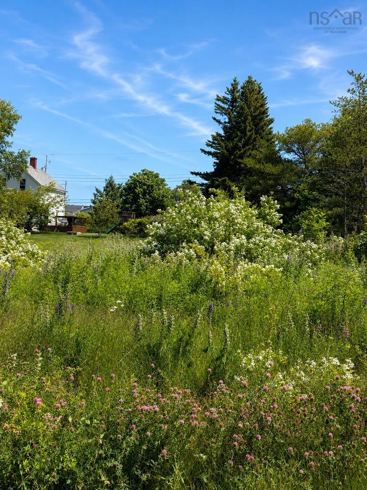 Property Photo:  Lot 2026-1 Morrison Street  NS B1A 2G6 