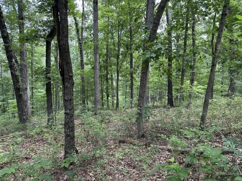 Property Photo:  Jura Lane  AR 72715 