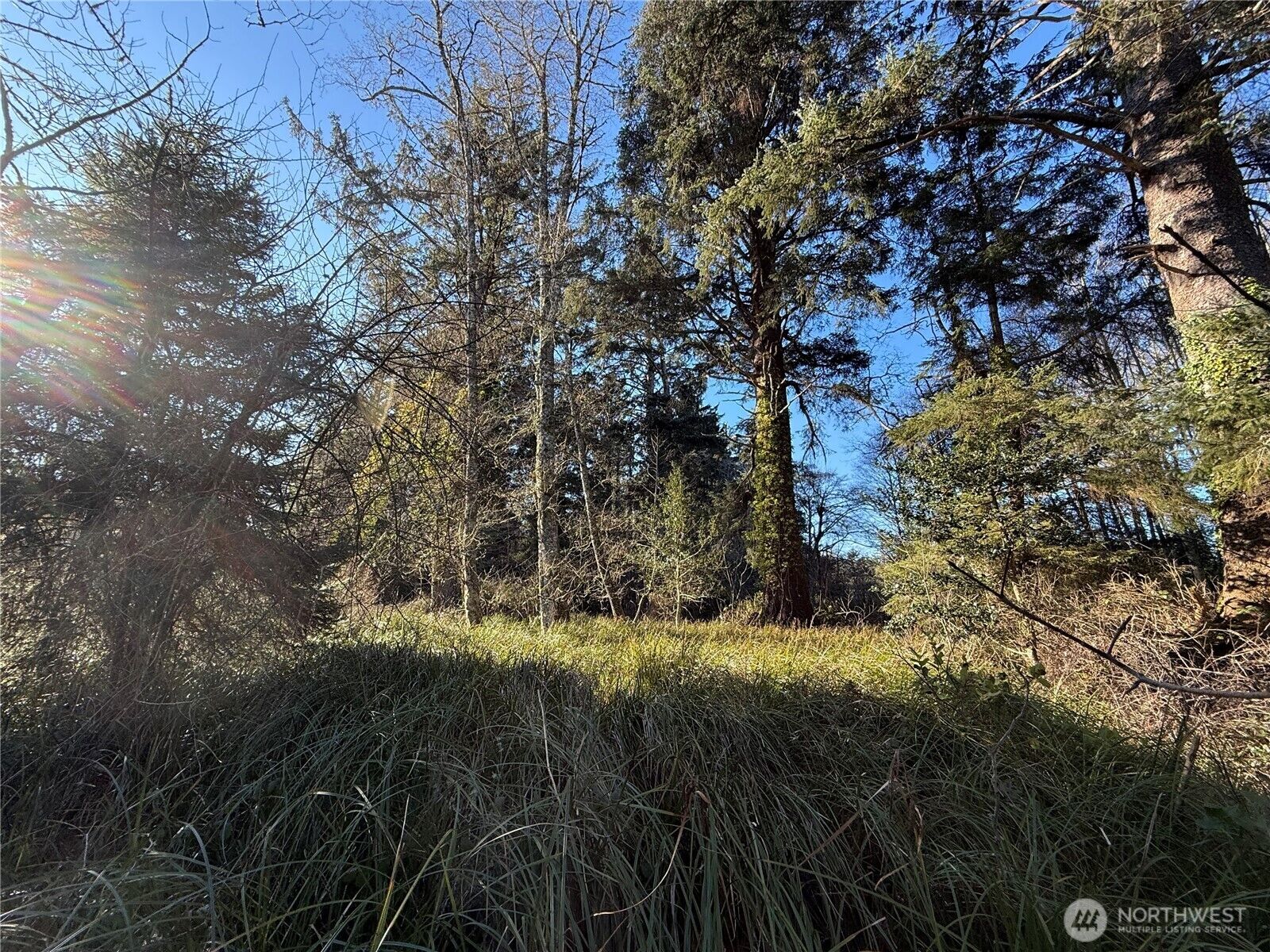 Property Photo: 27399 Sandridge Road WA 98640