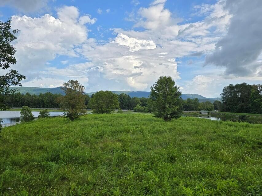 Property Photo:  Lot 1 Spring Lake Drive  TN 37327 