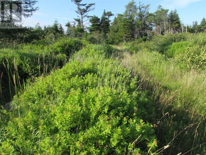 Property Photo:  16 A Salmonier Line  NL A0A 2R0 