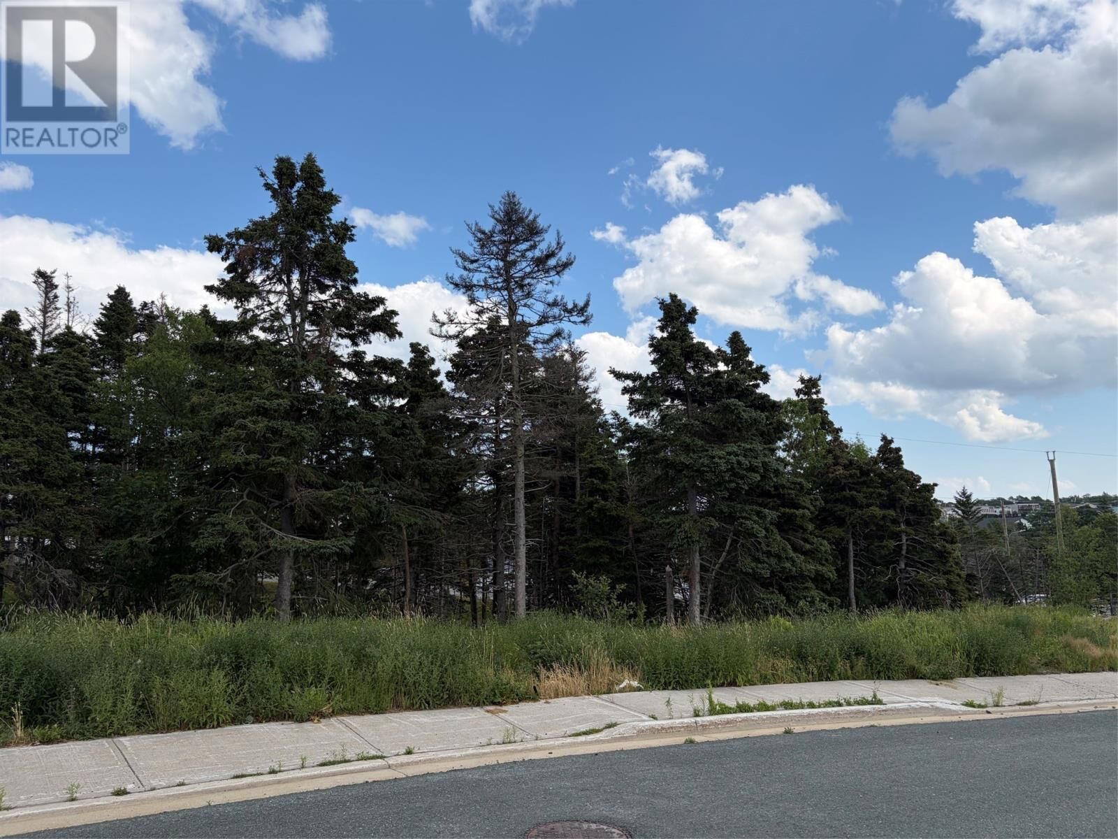 Property Photo:  26 Blade Crescent  NL A1N 5K9 