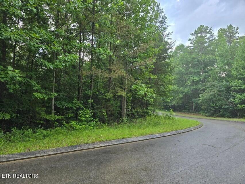 Property Photo:  Lot 156 Lower Brow Rd  TN 37327 