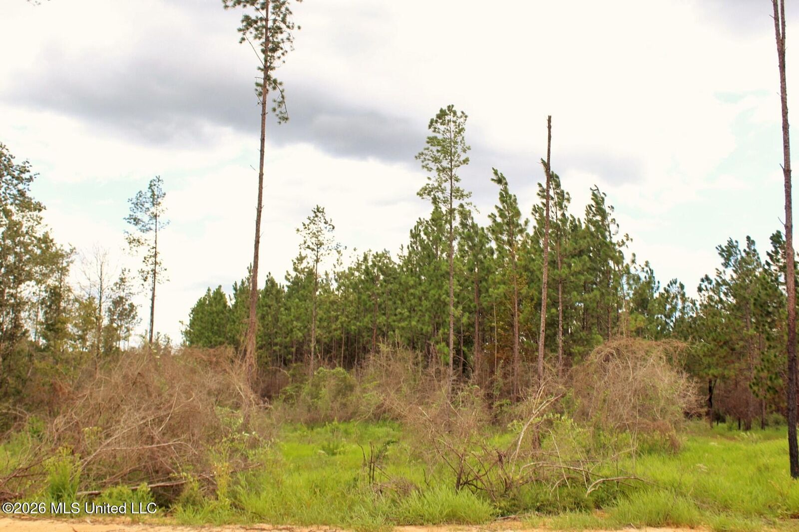 Property Photo: 8.83ac Little Cedar Road MS 39452