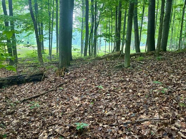 Property Photo: V/L 8 Forest Trail MI 49615