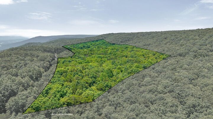 Property Photo: 59.73 Ac Windridge Drive TN 37327