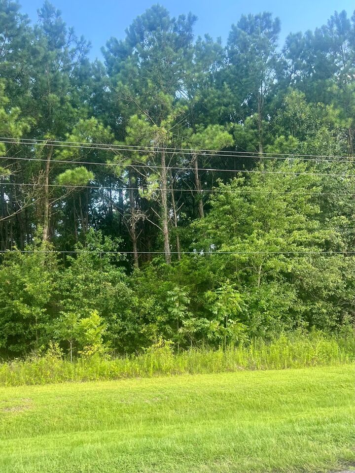 Property Photo:  Tbd Cr 33 Lot 16 Greenbrier Farms S/D  AL 36320 