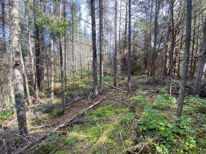 Property Photo:  0 Municipal Road N  ON P0A 1X0 