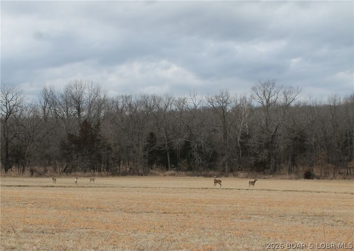 Property Photo: Kip Drive 1632 MO 65326
