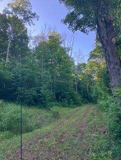 Property Photo: 0 County Rd 13 Van Etten NY 14889