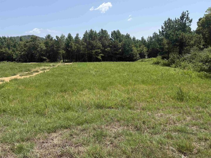 Property Photo:  5883 Hwy 123  AR 72846 