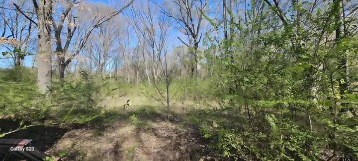Property Photo:  2415 Fm 17  TX 75410 
