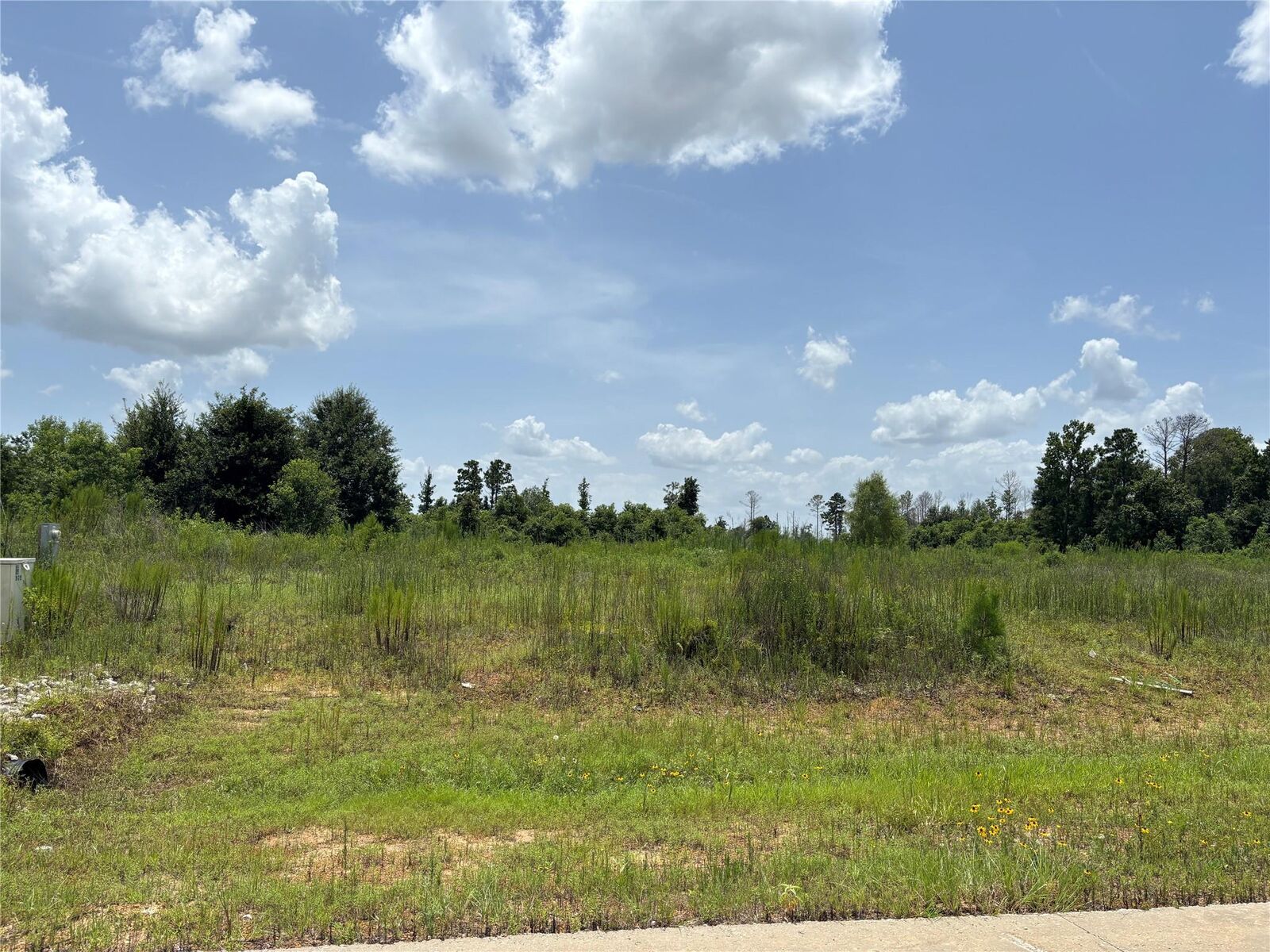 Property Photo:  113 Road 5888  TX 77327 