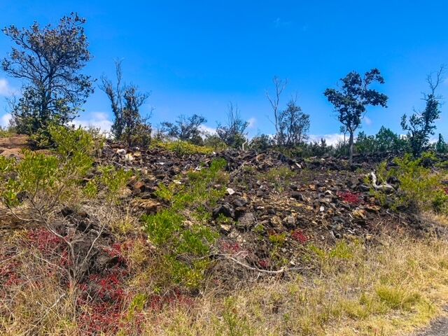 Property Photo:  Pineapple Pkwy  HI 96737 