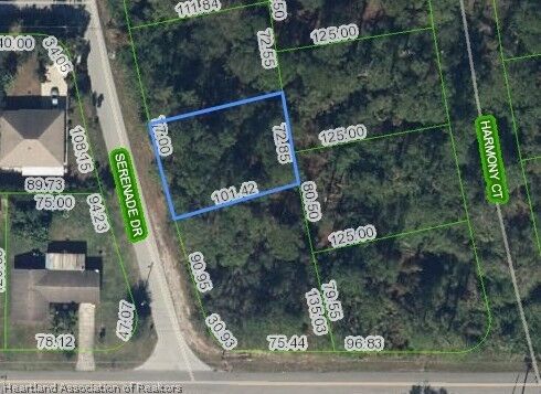 Property Photo:  205 Serenade Drive  FL 33852 