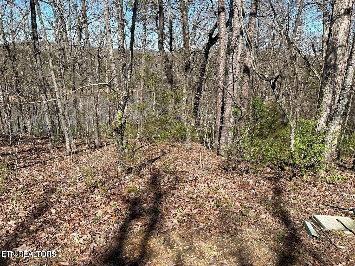 Property Photo:  313 Skiatook Circle  TN 37774 
