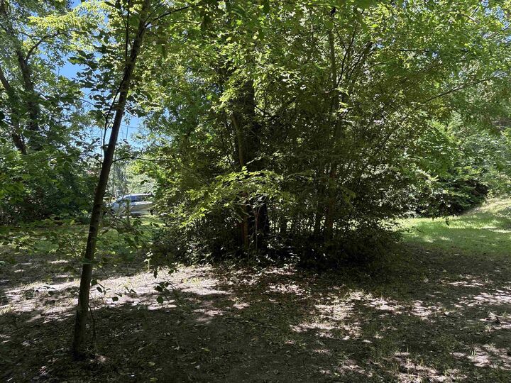 Property Photo: 305 E Madison St TX 75684