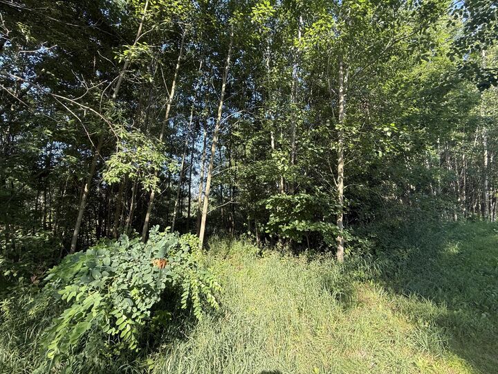 Property Photo: W Royal Road MI 49346