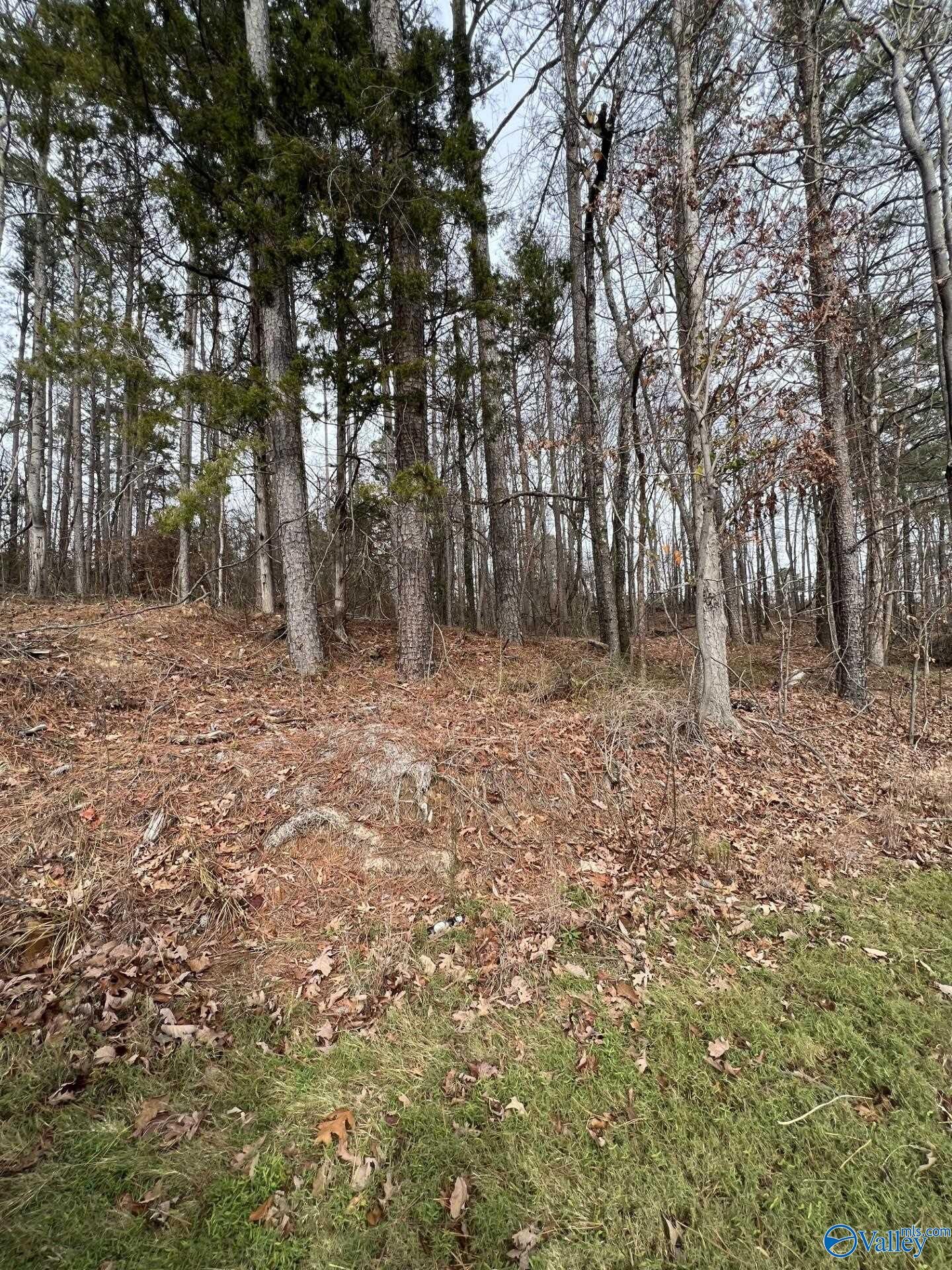 Property Photo:  5627 Alabama Highway 227  AL 35976 