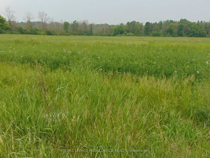 Property Photo:  00 Charleville Road N  ON K0E 1T0 