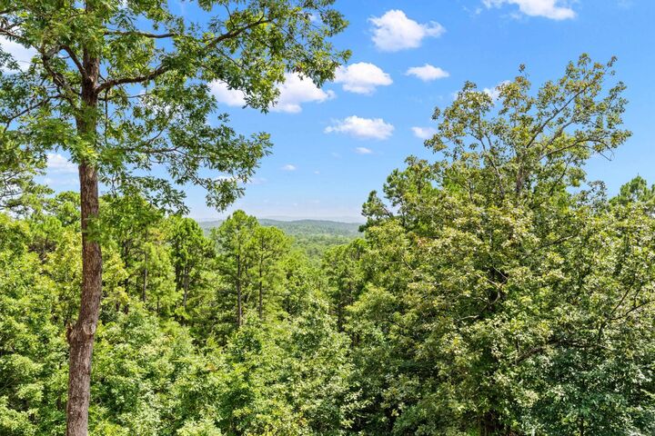 Property Photo: 35 Derecho Way AR 71909