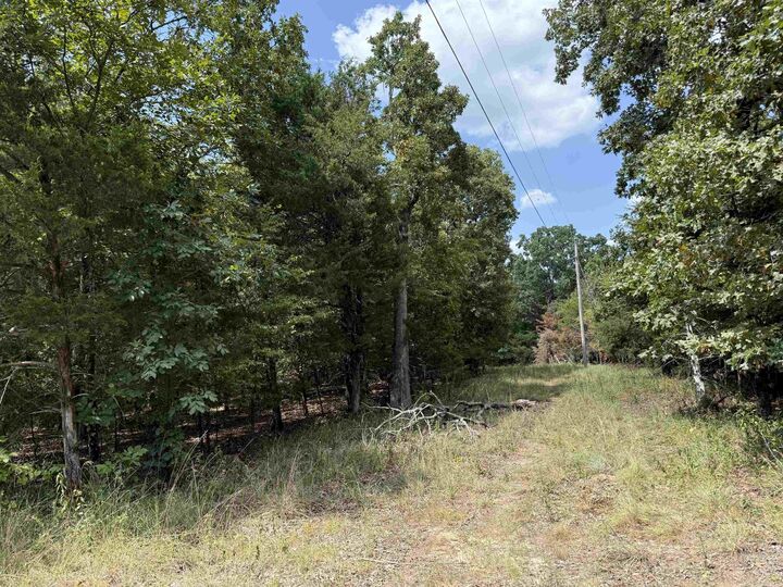 Property Photo: 00 Norris Lane AR 72802