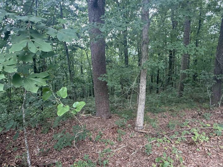 Property Photo:  Pine Drive  AR 72543-7790 