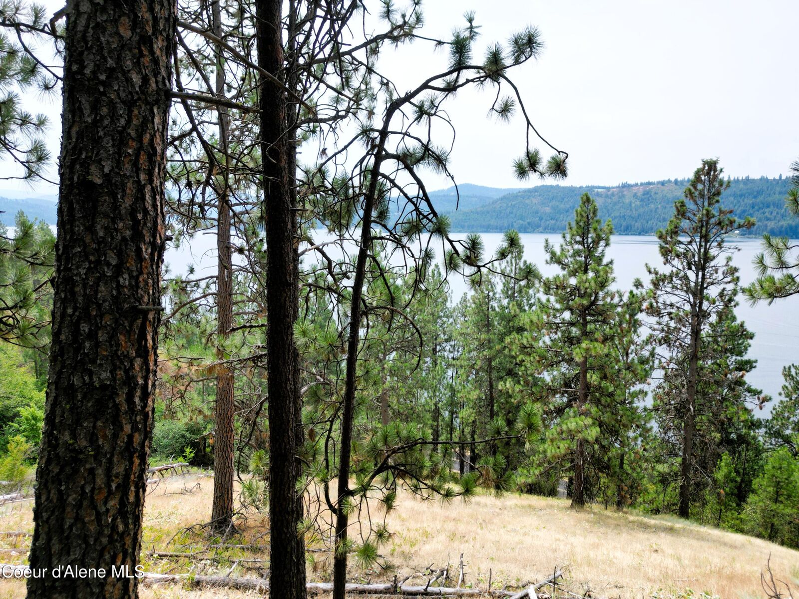 Property Photo:  Nna Lacon Ln  ID 83833 