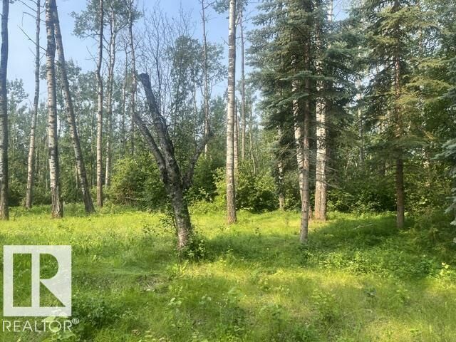 55107 RR 33 113 — photo 1