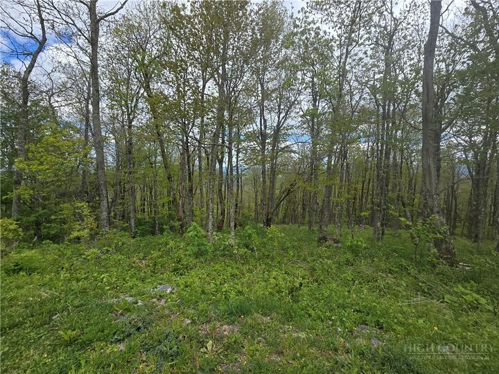 Property Photo:  Lot 86 Elk Mountain Parkway  NC 28684 
