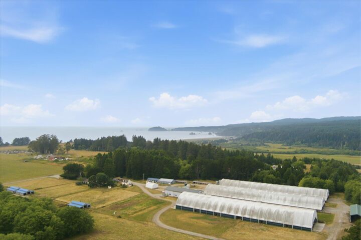 Property Photo: 5305 Dows Prairie Road CA 95519