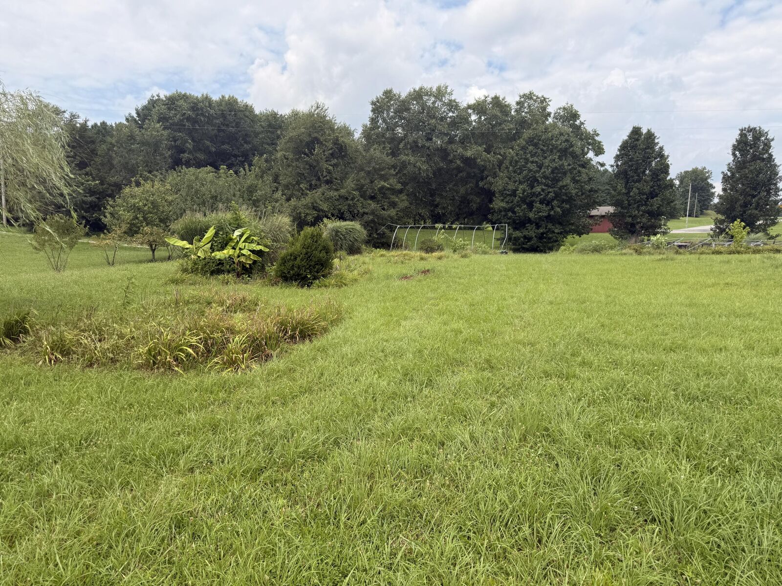 Property Photo: Track 10 Hodgenville Road KY 42718