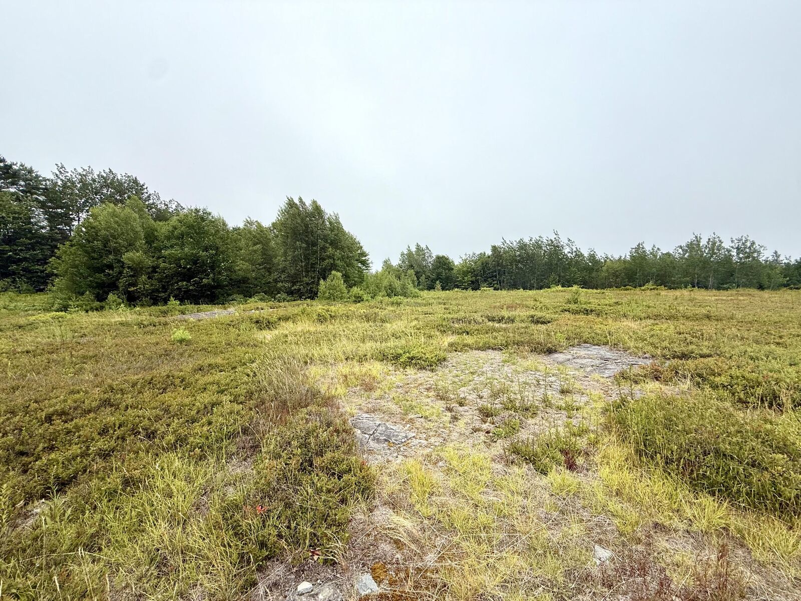 Property Photo: Lot 12A US-1 ME 04607