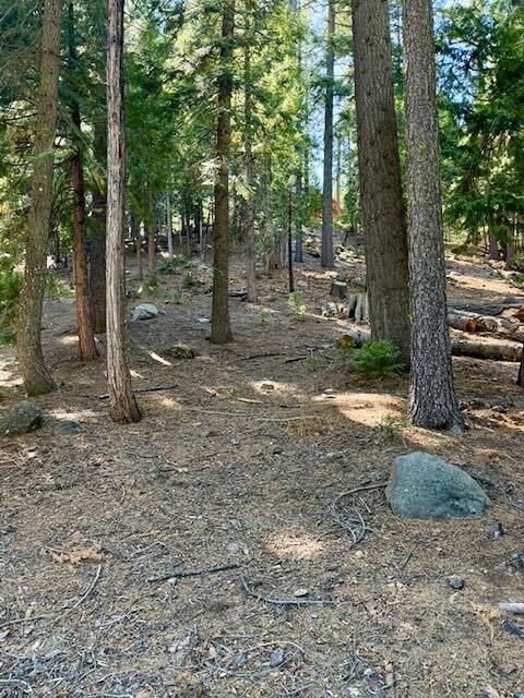 Property Photo:  1534 Sierra Parkway  CA 95223 