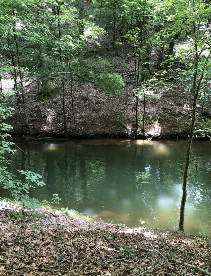 Property Photo:  0 Old Tullahoma Rd  TN 37330 