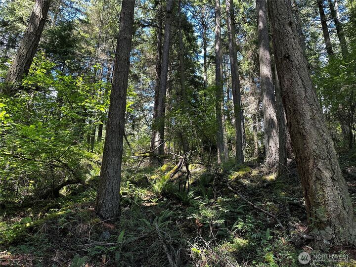 Property Photo:  808  Stoney Point Road  WA 98245 