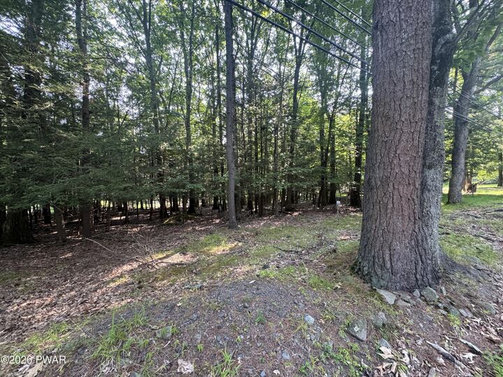 Property Photo: Lakeshore Drive PA 18438