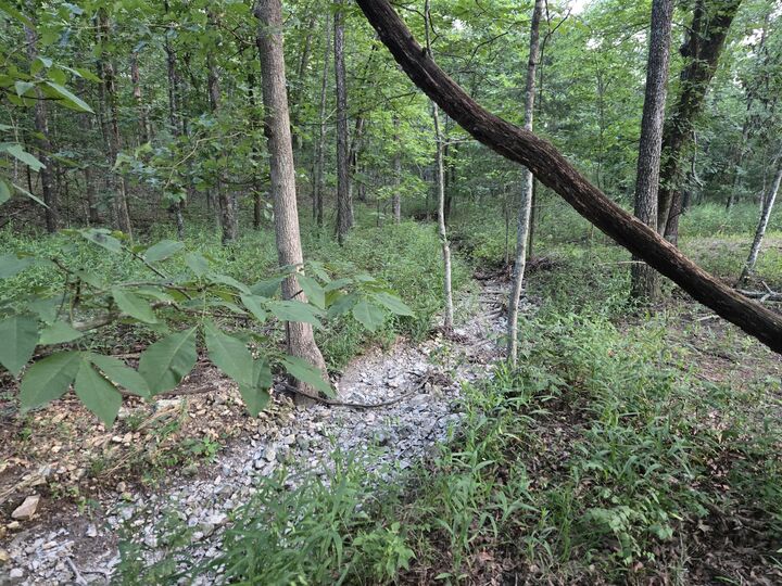 Property Photo:  832 Misty Lane  MO 65725 